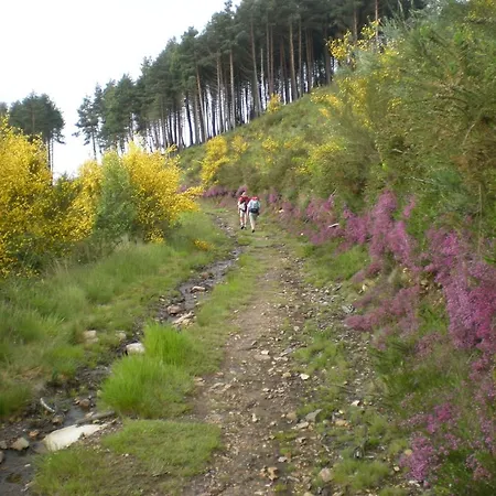 Les Du Domaine Du Cayre Saint-Michel-Escalus