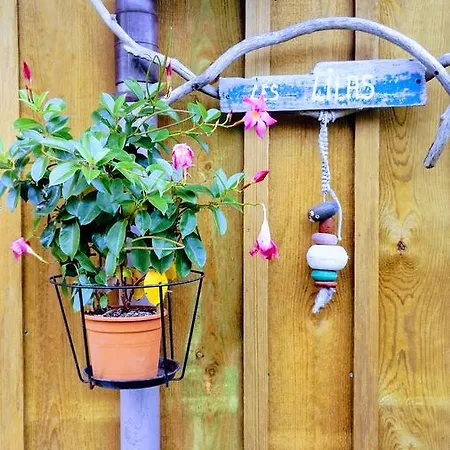 Les Du Domaine Du Cayre *