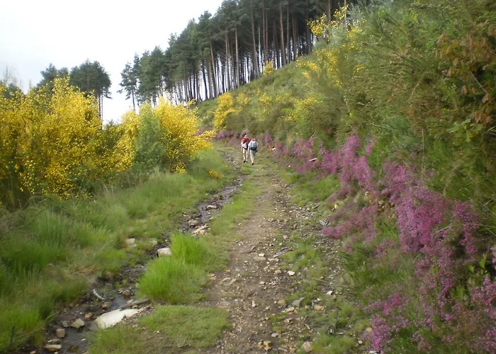 Les Du Domaine Du Cayre Saint-Michel-Escalus