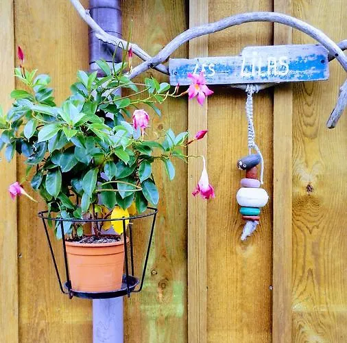 Les Du Domaine Du Cayre *